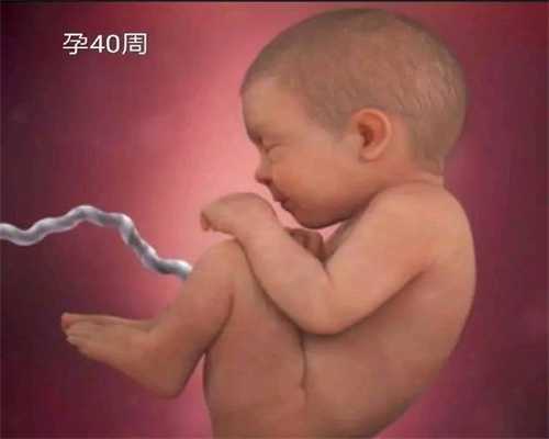  上海国外代孕选性别多少钱_【恒信代孕】_胸部胀痛吃什么好